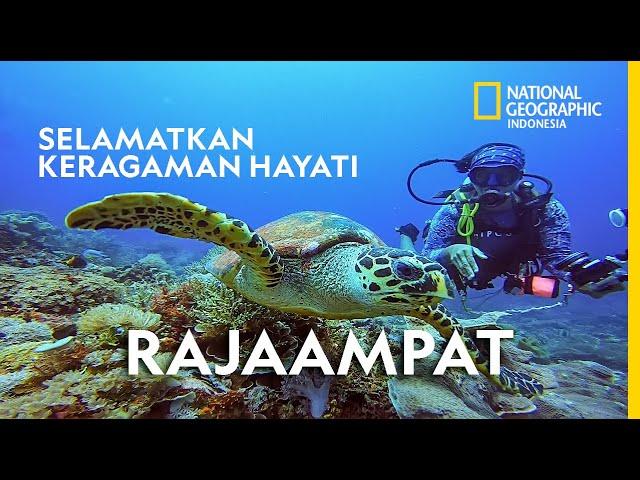 'BLUE ECONOMY' : JALAN KELUAR MENYELAMATKAN RAJAAMPAT DARI KERUSAKAN