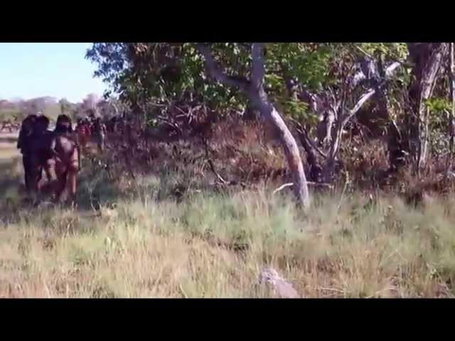 ISOLATED: Amazon Tribes Xingu Indians Of The Amazon Rainforest Brazil 2015