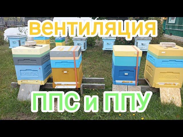 Верхняяя или нижняя вентиляция. Пчеловодство!