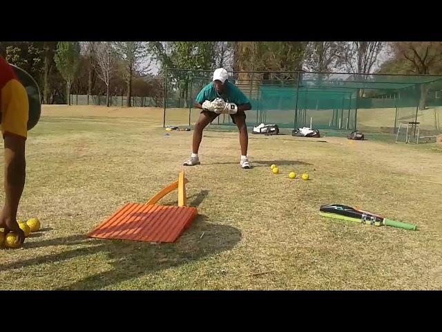 Cricket - Wicket Keeping drills