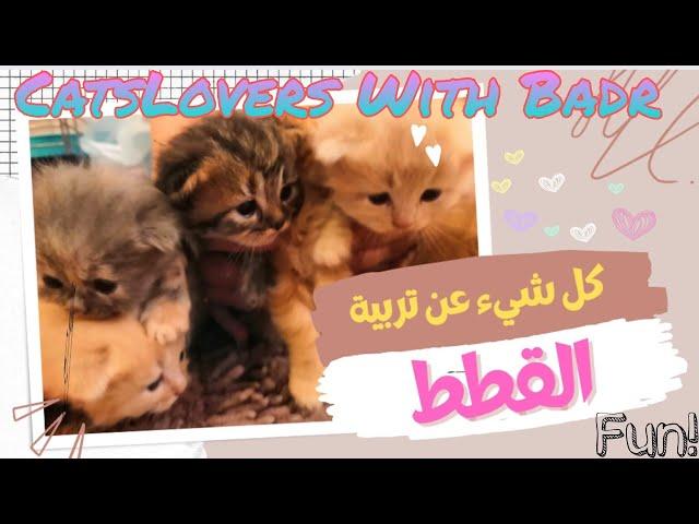كل شيء عن تربية القططمقطع تعريفي بالقناة @aboramiii