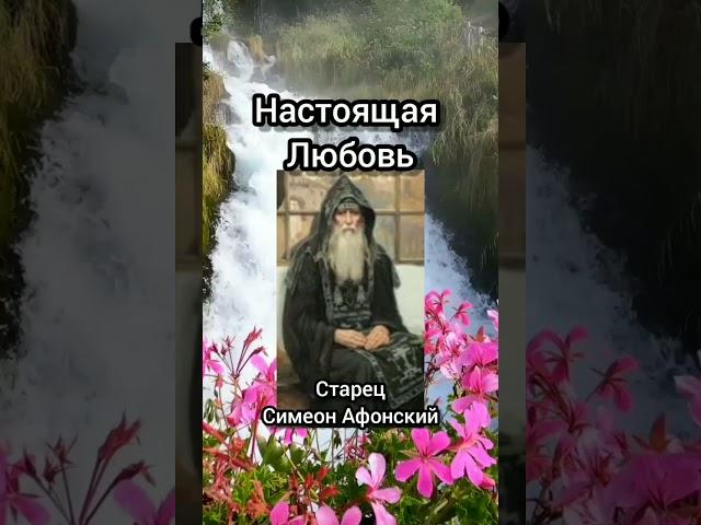 Настоящая Любовь