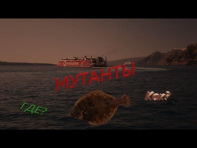 "Мутант" Камбала Кесслера, Восточный Крит. Русская рыбалка 3