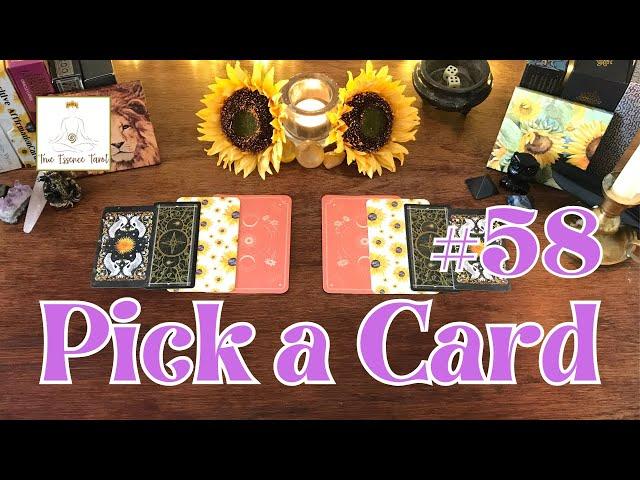  Pick a Card: Quick Answers For Your Question | Timeless Pick a Card Tarot Reading #58 