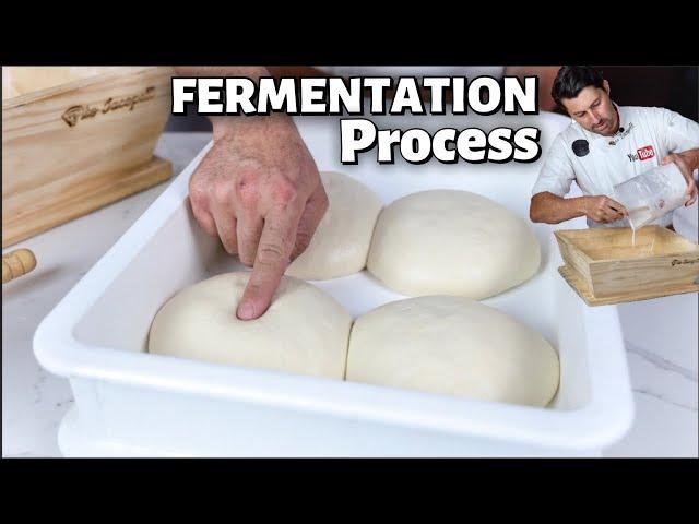 How to Manage The FERMENTATION Process of PIZZA DOUGH