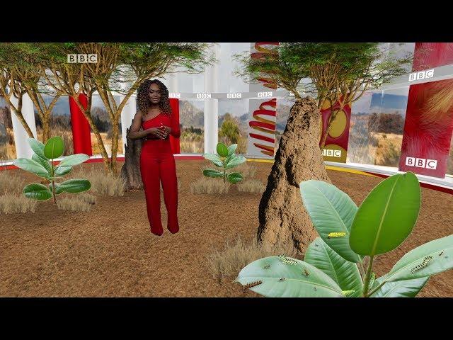 BBC Afrique: BBC Actu Jeunes (Episode 54)