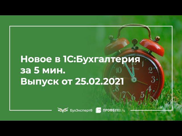 Имущественные налоги 2020, патент и страховые взносы 2021, декларация УСН 2020, НДФЛ 2021