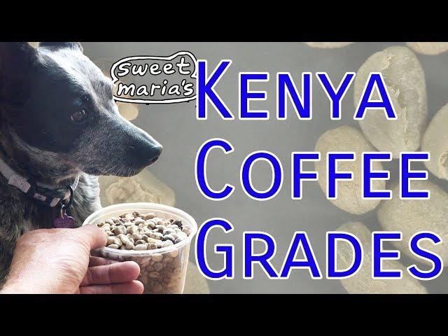 Kenya Coffee Grades