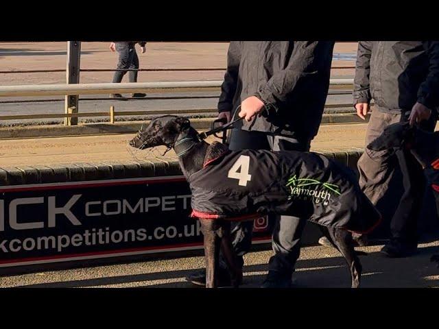 An honest day as a greyhound owner - Bish Bosh Bashy runs again