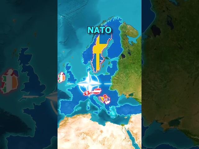 New NATO members???