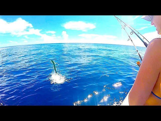 AWESOME offshore fishing ACTION! MAHI MAHI EVERYWHERE!!