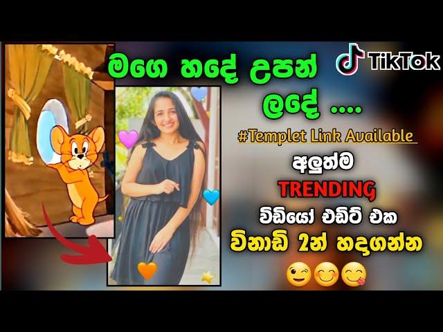 Trending TikTok Video Editing Capcut | New Tiktok Trending Video | @Sl Nuwan Academy | CapCut  2022