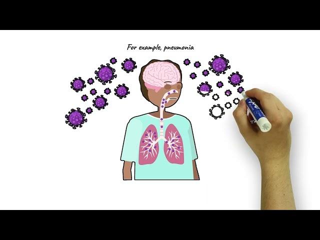 Science Animated Whiteboard Showreel