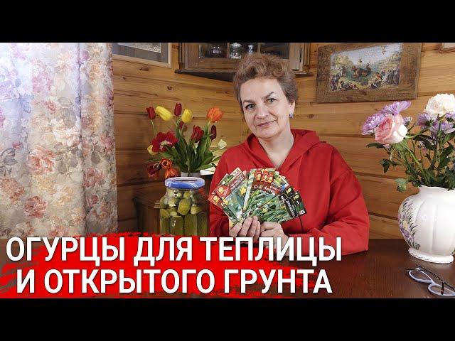 Огурцы для теплицы и открытого грунта