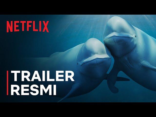 Our Oceans | Barack Obama | Trailer Resmi | Netflix