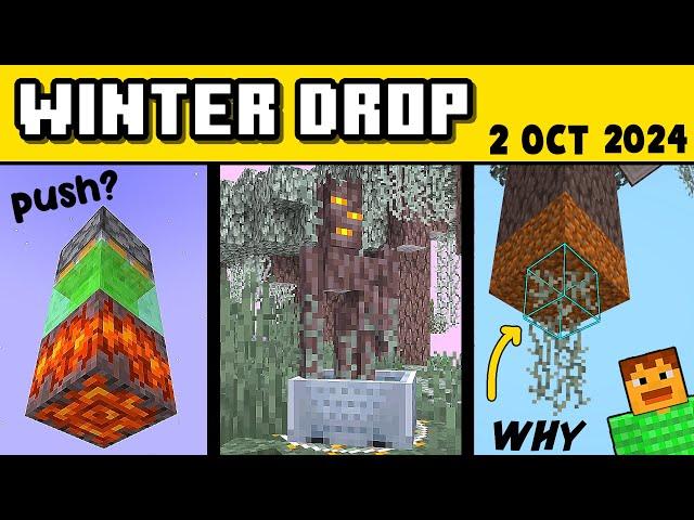 Why THIS in Minecraft Winter Drop update?