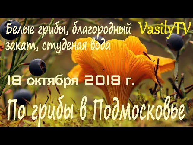 По грибы в Подмосковье 18 октября 2018 гБелые грибы, благородный закат, студеная вода