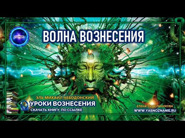  УРОКИ ВОЗНЕСЕНИЯ |  Урок 2 |  Волна вознесения | Эль Михаил Небодонский | СЕлена | Эзотерика |