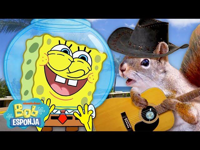 Bob Esponja em TERRA FIRME por 10 Minutos Seguidos | Bob Esponja em Português