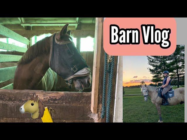 Barn Vlog! -Hanging With Johnny and Riding Lesson-