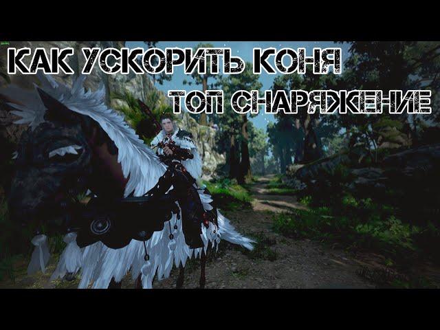 КАК УСКОРИТЬ КОНЯ И КАКОЕ СНАРЯЖЕНИЕ НУЖНО | Black Desert