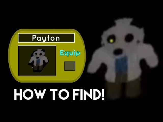 HOW TO FIND THE *SECRET* PAYTON SKIN IN PIGGY [BOOK 2] CHAPTER 12!! (Panda)