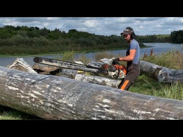 You have never seen such a Bog Oak! How did we manage to cut it with a chainsaw ?!