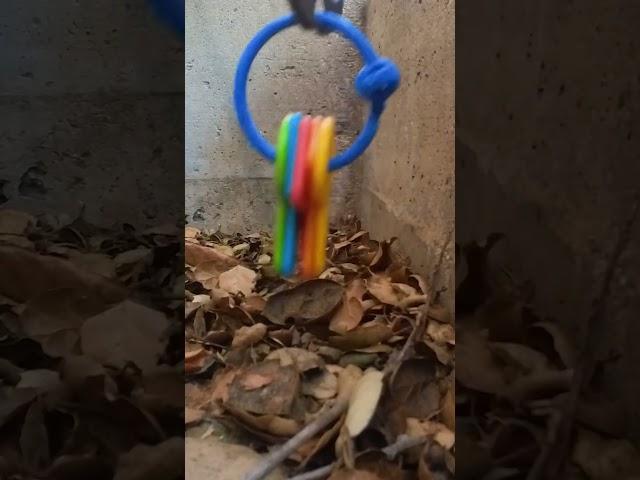 I Tested a "Gravity Hook"