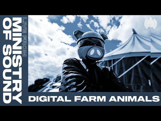 Digital Farm Animals DJ Set From Ministry Of Sound | Ministry Sessions