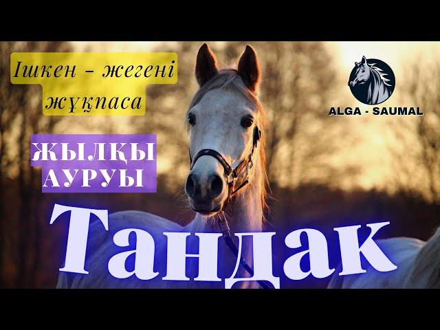 Таңдақ - жылқы ауруы Тандай ауруы Болячки лошадей