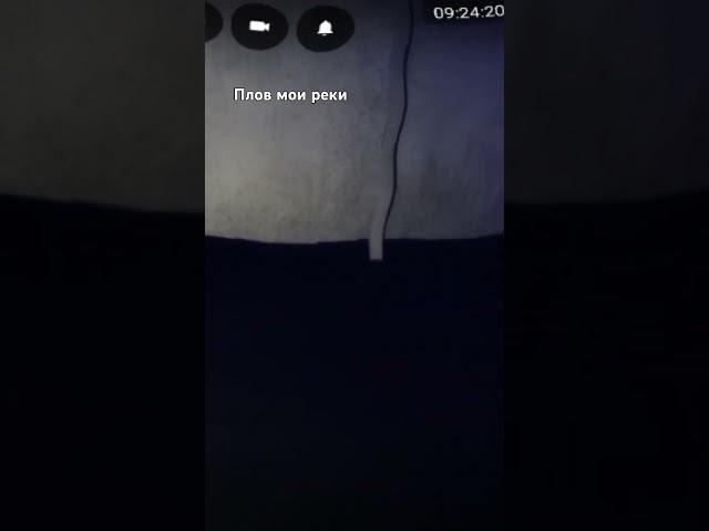 ну рил