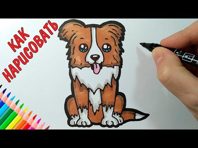 How to draw a CUTE DOG, Just draw