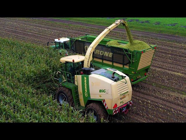 Mais hakselen | Chopping corn | Maishäckseln | Krone | Big X 700 | Fendt | Kaweco | Maisoogst 2024