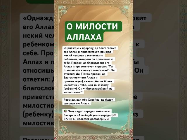 Милость Аллаhа больше, чем ты можешь себе представить #аллах #исламскиевидео #умма #дуа #вера