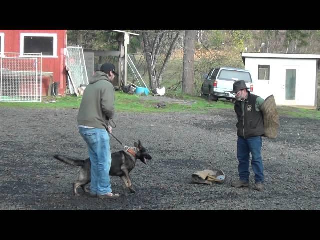 Schilling Law Dog's Training by Ken Schilling