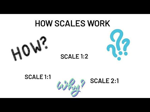 Scales Explained! (For EGD Students)