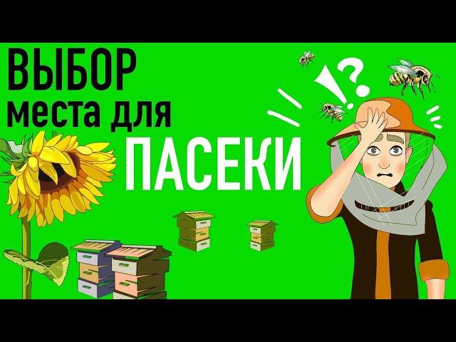 Как искать место для пасеки?