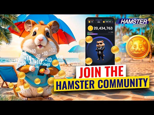 Hamster Kombat for New Players: Easy Start Guide ️ Hamster Academy