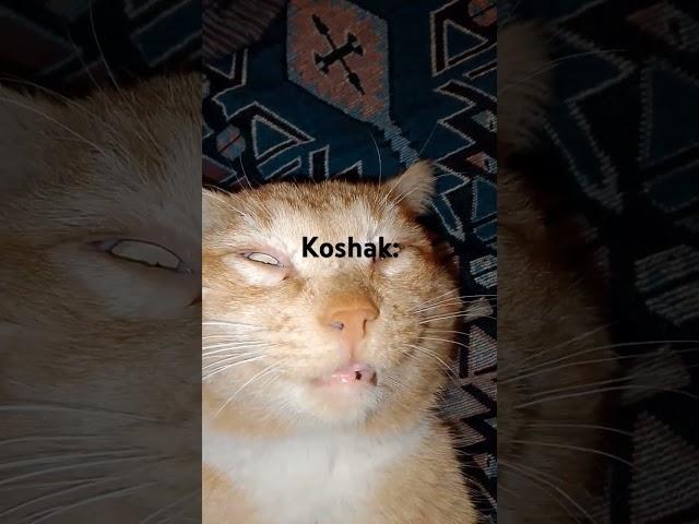 Koshak