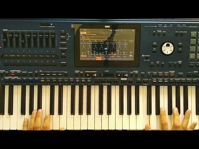 Modern Martina (Korg Style ) Summer Mix Danekoo1 2024 [ Pa5 x Musikant Instrumental ]