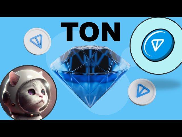 The TON Ecosystem is Exploding! TSE and TCAT are the Top Memes!