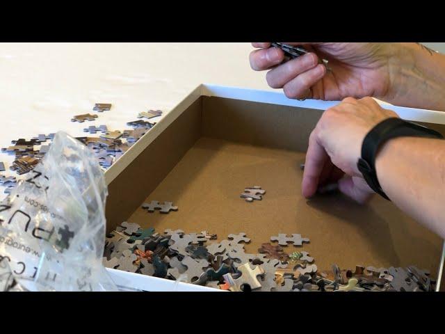 Jigsaw Puzzles - Part 1 - Tips and Tricks