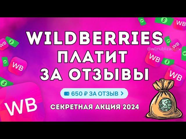 Как получить ДЕНЬГИ ЗА ОТЗЫВЫ на Wildberries? Рубли за отзыв - новая АКЦИЯ ВБ 2024! Баллы кэшбек wb