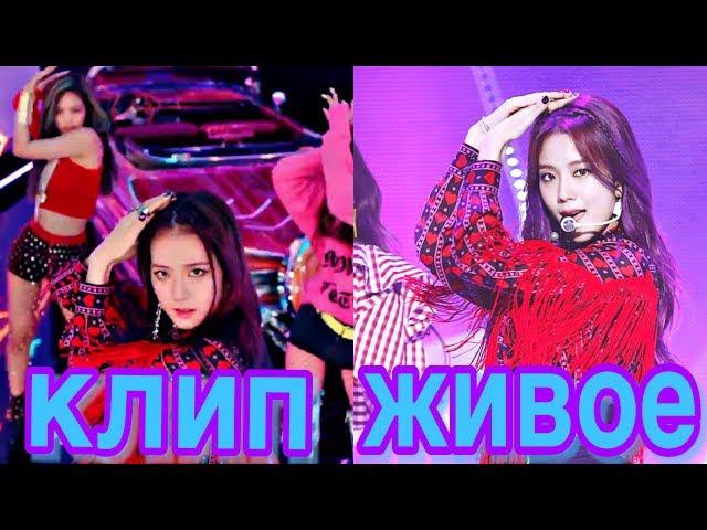 КАК BLACKPINK ПОЮТ БЕЗ ФОНОГРАММЫ