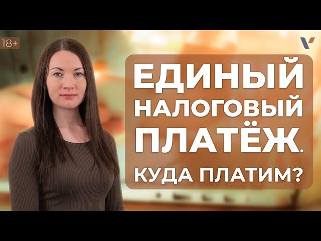 Единый налоговый платеж. Разбираемся как и куда платить