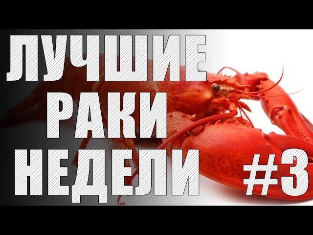 ЛРН выпуск №3 [Лучшие Раки Недели]