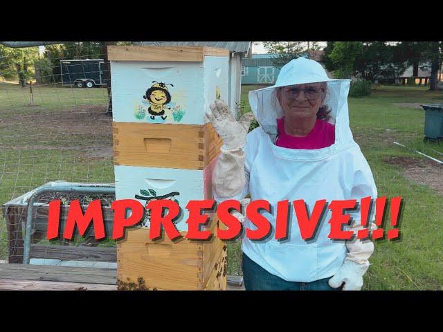 Lynn's Monster Hive