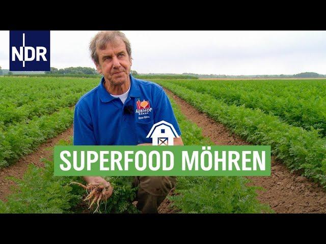 Hochsaison im Möhrenland  | Die Nordreportage | NDR