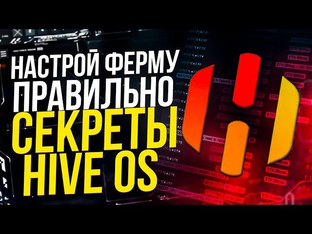 Как правильно настроить майнинг ферму. Секреты и cоветы Hive OS. Настройка майнинг фермы