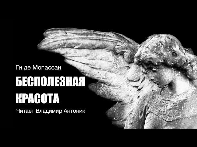 «Бесполезная красота». Ги де Мопассан. Аудиокнига. Читает Владимир Антоник